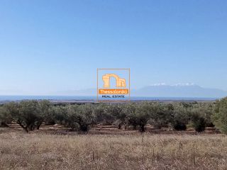 Αγροτεμάχια 4.125 τ.μ. για πώληση
