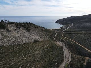 Αγροτεμάχια 4.830 τ.μ. για πώληση