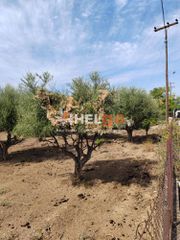 Οικόπεδο 2.248 τ.μ. για πώληση, Αχαΐα, Παραλία-thumb-10