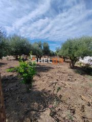 Οικόπεδο 2.248 τ.μ. για πώληση, Αχαΐα, Παραλία-thumb-2