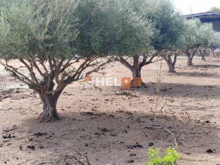 Οικόπεδο 2.248 τ.μ. για πώληση, Αχαΐα, Παραλία-thumb-23