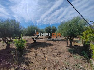 Οικόπεδο 2.248 τ.μ. για πώληση, Αχαΐα, Παραλία-thumb-1