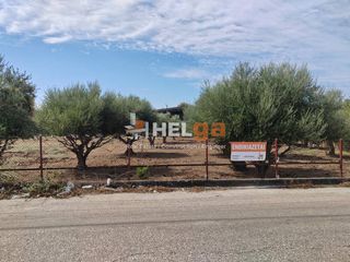 Οικόπεδο 2.248 τ.μ. για πώληση, Αχαΐα, Παραλία-thumb-13