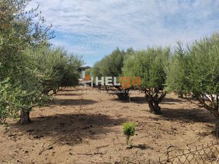 Οικόπεδο 2.248 τ.μ. για πώληση, Αχαΐα, Παραλία-thumb-6