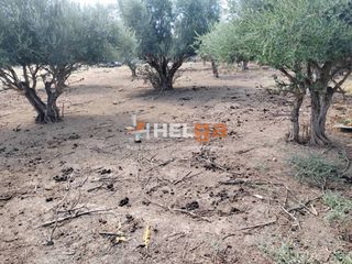 Οικόπεδο 2.248 τ.μ. για πώληση, Αχαΐα, Παραλία-thumb-20