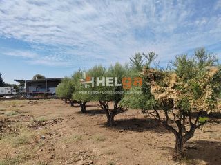 Οικόπεδο 2.248 τ.μ. για πώληση, Αχαΐα, Παραλία-thumb-9