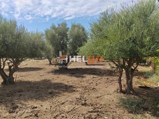 Land plot 2.248 sqm for sale