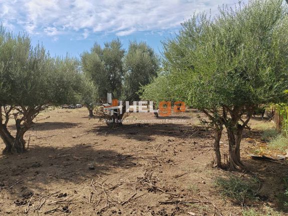 Οικόπεδο 2.248 τ.μ. για πώληση, Αχαΐα, Παραλία