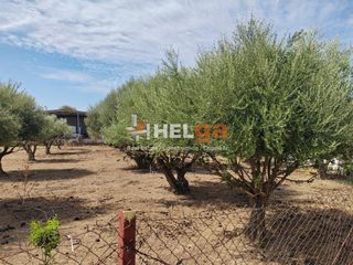 Οικόπεδο 2.248 τ.μ. για πώληση, Αχαΐα, Παραλία-thumb-5