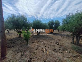 Οικόπεδο 2.248 τ.μ. για πώληση, Αχαΐα, Παραλία-thumb-19