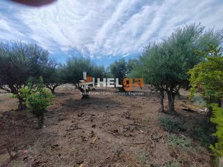 Οικόπεδο 2.248 τ.μ. για πώληση, Αχαΐα, Παραλία-thumb-18