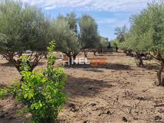 Οικόπεδο 2.248 τ.μ. για πώληση, Αχαΐα, Παραλία-thumb-3