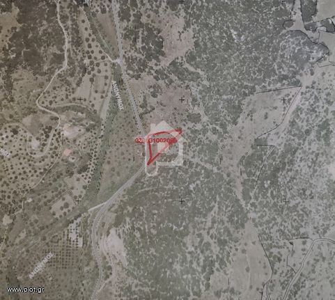 Αγροτεμάχια 2.870 τ.μ. για πώληση, Αρκαδία, Δημητσάνα