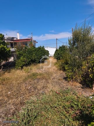 Οικόπεδο 1 τ.μ. για πώληση, Κορινθία, Βέλο