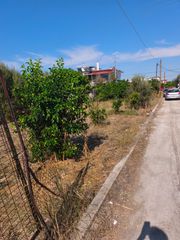Οικόπεδο 1 τ.μ. για πώληση, Κορινθία, Βέλο-thumb-1