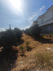 Οικόπεδο 1 τ.μ. για πώληση, Κορινθία, Βέλο-thumb-6