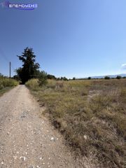 Αγροτεμάχια 15.000 τ.μ. για πώληση, Ημαθία, Βέροια-thumb-2