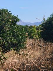 Οικόπεδο 1 τ.μ. για πώληση, Κορινθία, Βέλο-thumb-8