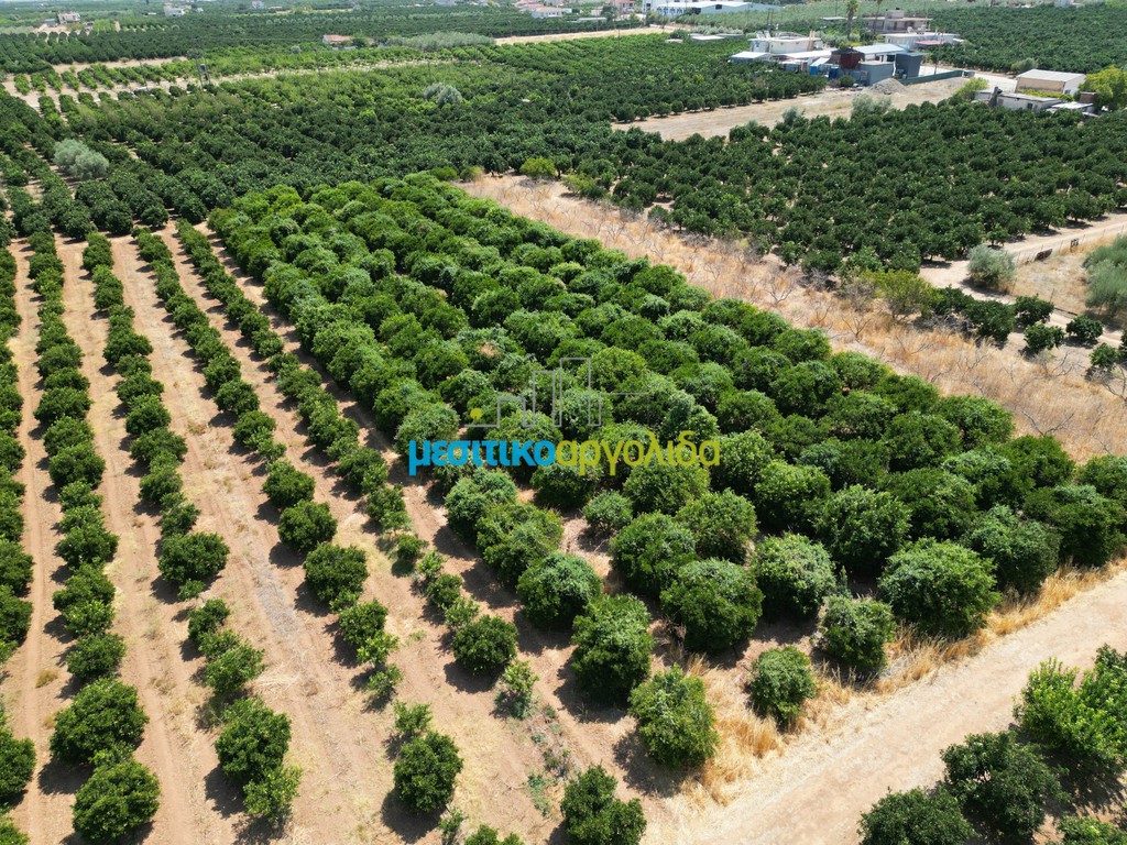 Αγροτεμάχια 4.081,28 τ.μ. προς πώληση, Σταθαίικα