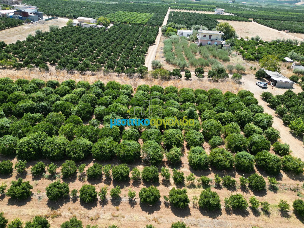 Αγροτεμάχια 4.081,28 τ.μ. προς πώληση, Σταθαίικα