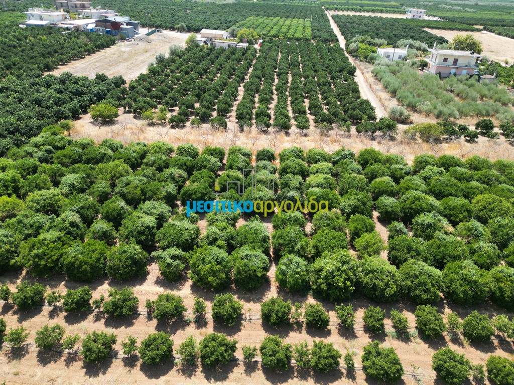 Αγροτεμάχια 4.081,28 τ.μ. προς πώληση, Σταθαίικα