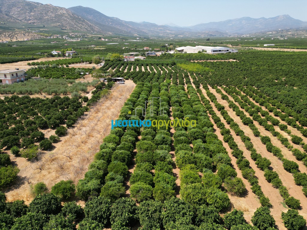 Αγροτεμάχια 4.081,28 τ.μ. προς πώληση, Σταθαίικα