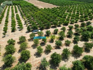 Αγροτεμάχια 7.335 τ.μ. προς πώληση, Σταθαίικα-thumb-18