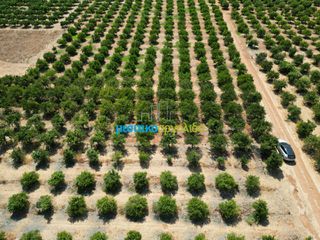 Αγροτεμάχια 7.335 τ.μ. προς πώληση, Σταθαίικα-thumb-12