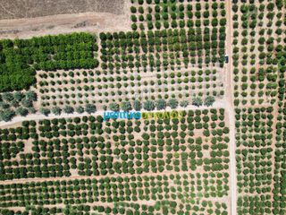 Αγροτεμάχια 7.335 τ.μ. προς πώληση, Σταθαίικα-thumb-3