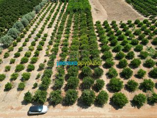 Αγροτεμάχια 7.335 τ.μ. προς πώληση, Σταθαίικα-thumb-13