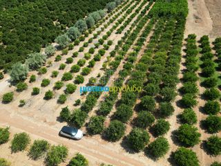 Αγροτεμάχια 7.335 τ.μ. προς πώληση, Σταθαίικα-thumb-14