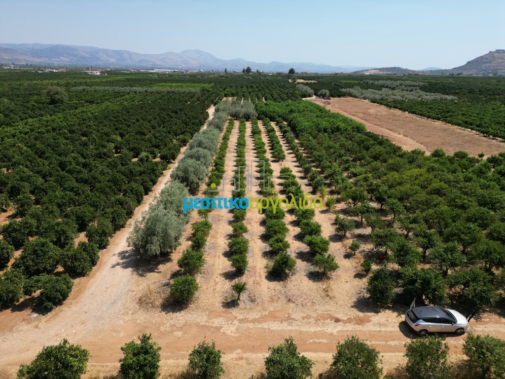 Αγροτεμάχια 7.335 τ.μ. προς πώληση, Σταθαίικα