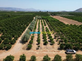 Αγροτεμάχια 7.335 τ.μ. προς πώληση, Σταθαίικα-thumb-1