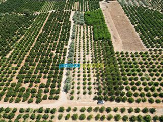 Αγροτεμάχια 7.335 τ.μ. προς πώληση, Σταθαίικα-thumb-6
