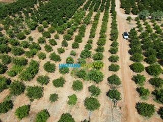 Αγροτεμάχια 7.335 τ.μ. προς πώληση, Σταθαίικα-thumb-15