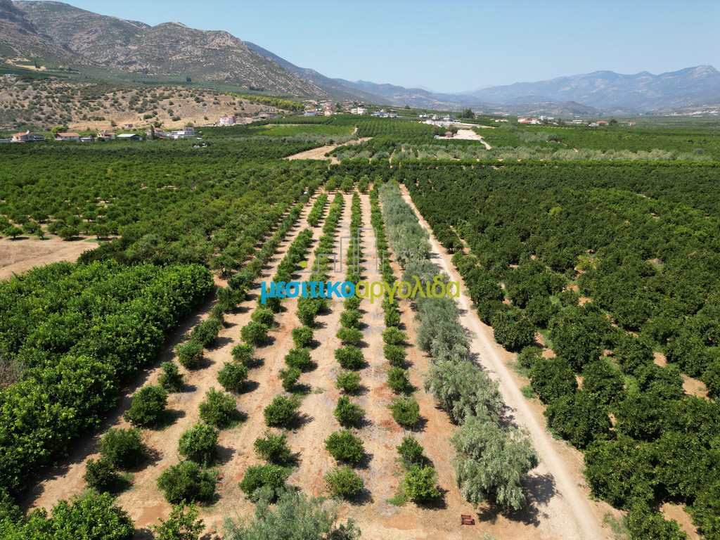 Αγροτεμάχια 7.335 τ.μ. προς πώληση, Σταθαίικα
