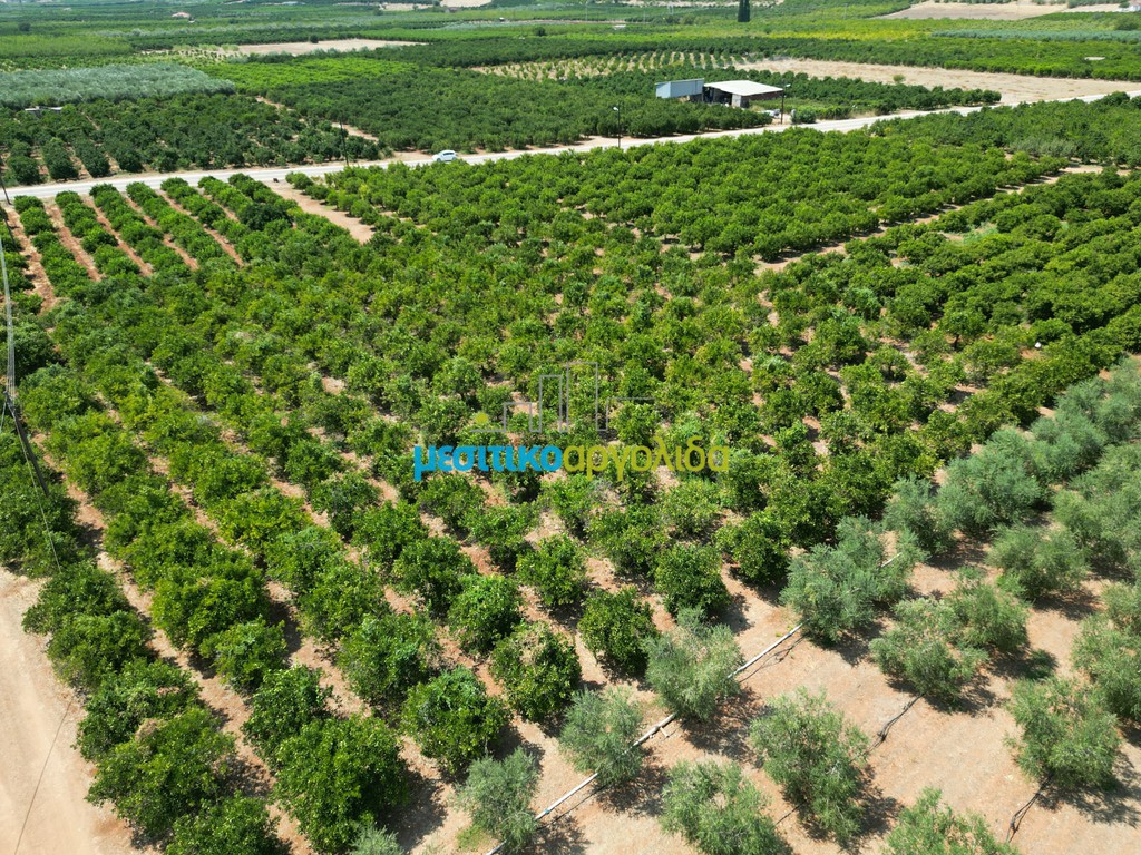 Αγροτεμάχια 8.000 τ.μ. προς πώληση, Σταθαίικα