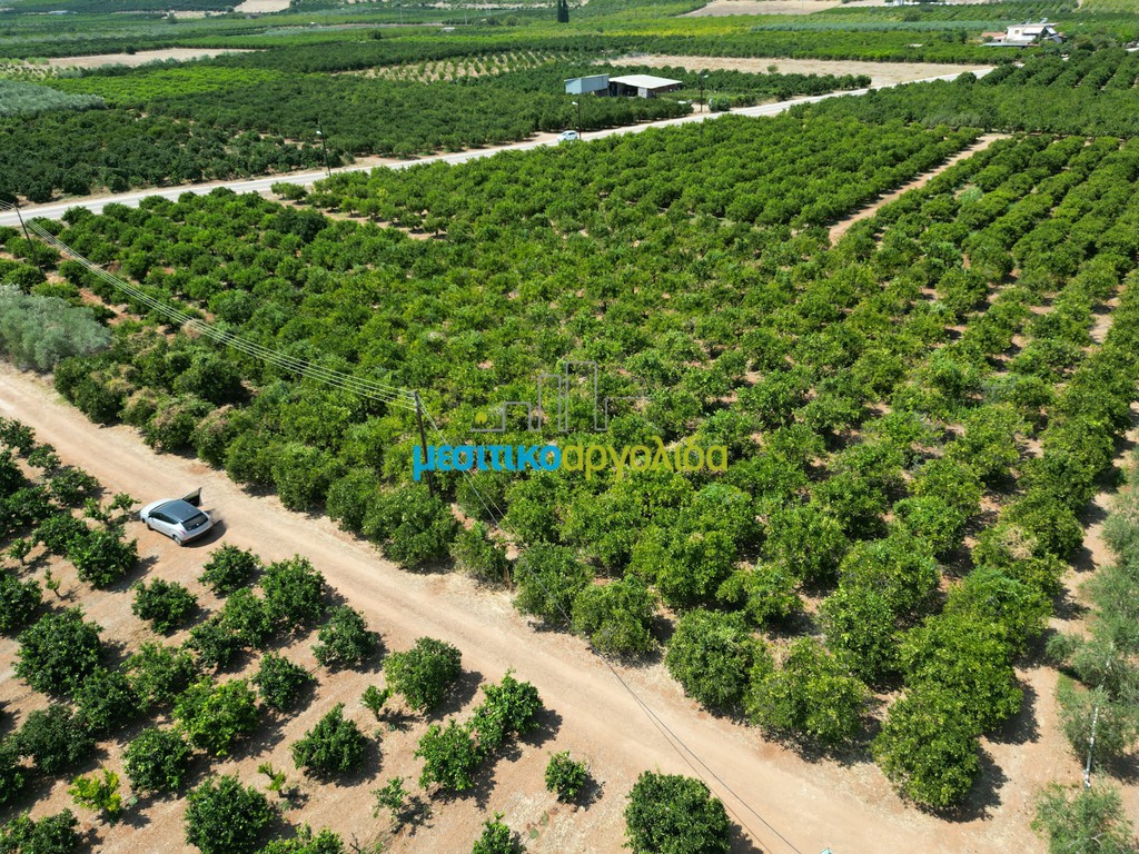 Αγροτεμάχια 8.000 τ.μ. προς πώληση, Σταθαίικα