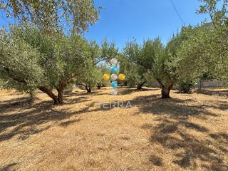 Οικόπεδο 616 τ.μ. προς πώληση, Αγγελιανά-thumb-1