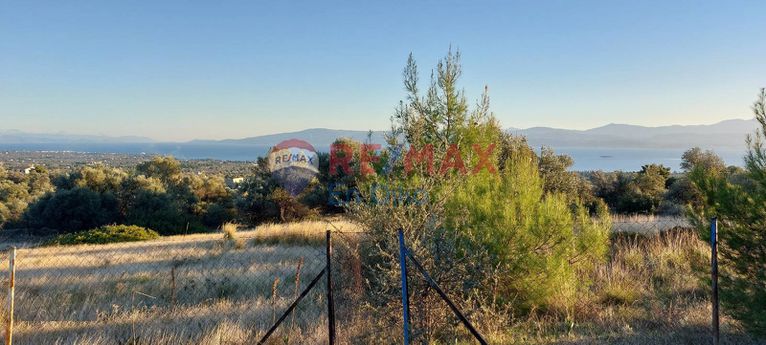 Αγροτεμάχια 10.000 τ.μ. για πώληση, Εύβοια, Ερέτρια