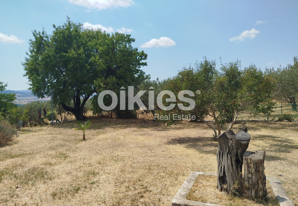 Αγροτεμάχια 900 τ.μ. προς πώληση, Γαλάτιστα