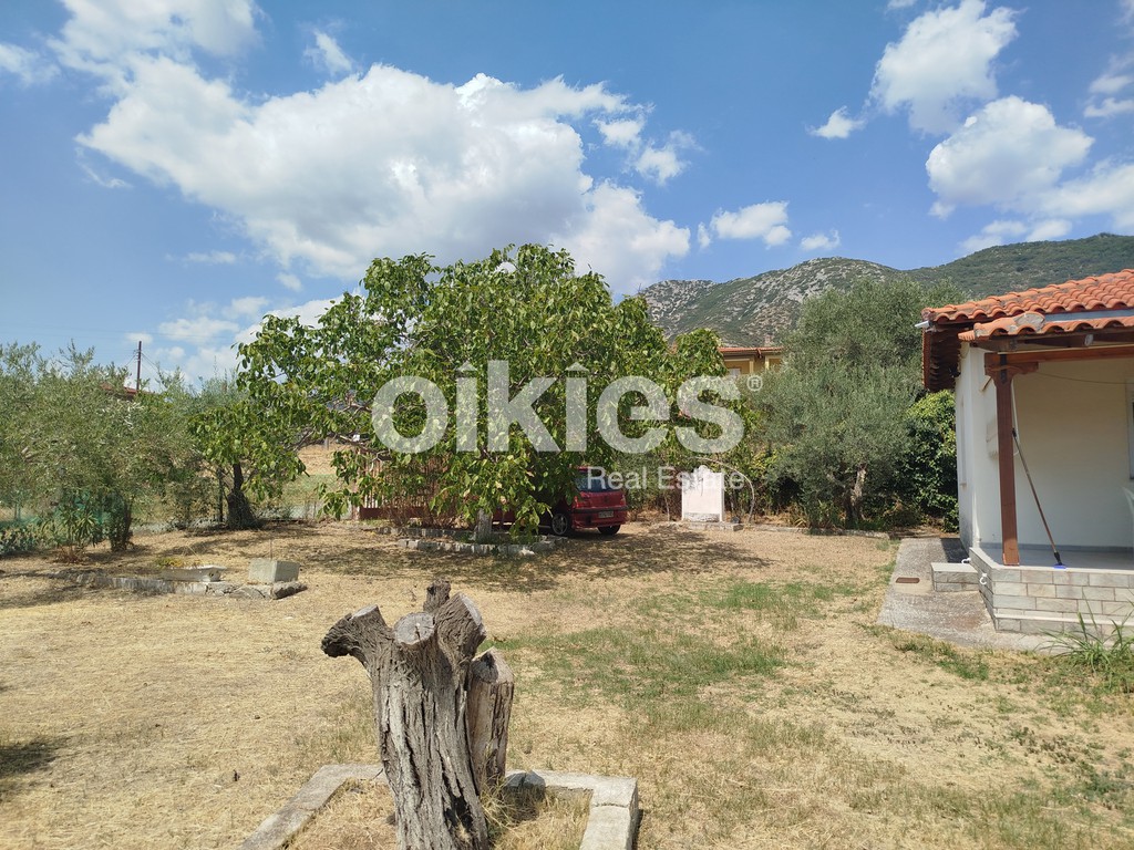 Αγροτεμάχια 900 τ.μ. προς πώληση, Γαλάτιστα