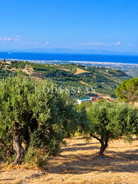 Land plot 2.039 sqm for sale, Heraklion Prefecture, Gorgolaini
