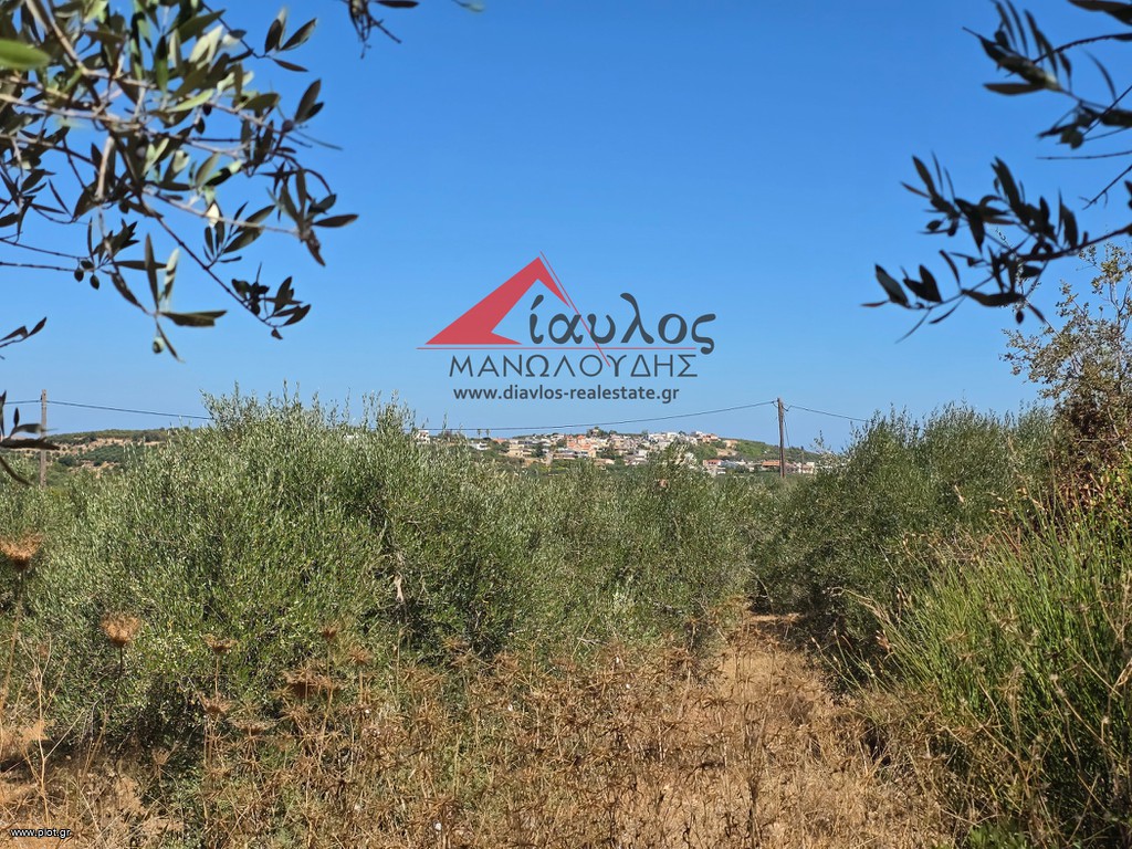 Αγροτεμάχια 4.700 τ.μ. προς πώληση, Χάνι Αλεξάνδρου
