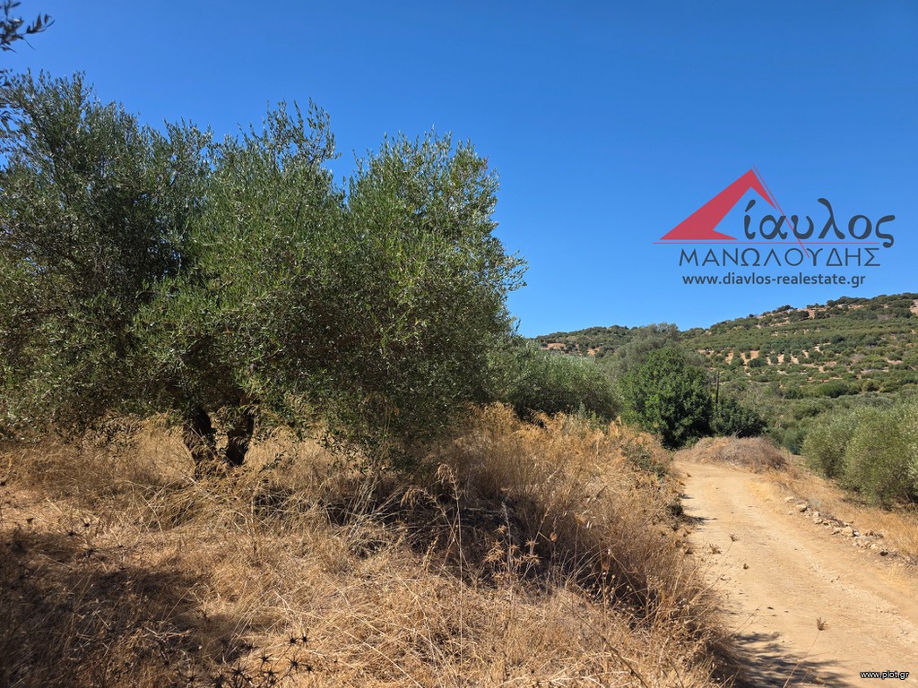Αγροτεμάχια 4.700 τ.μ. προς πώληση, Χάνι Αλεξάνδρου