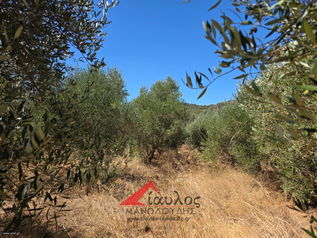 Αγροτεμάχια 4.700 τ.μ. προς πώληση, Χάνι Αλεξάνδρου
