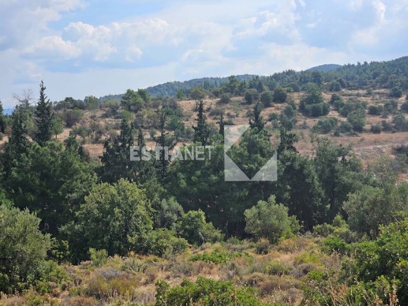Διαμέρισμα 96 τ.μ. πρός πώληση, Θεσσαλονίκη - Περιφ/Κοί Δήμοι, Θερμαϊκός