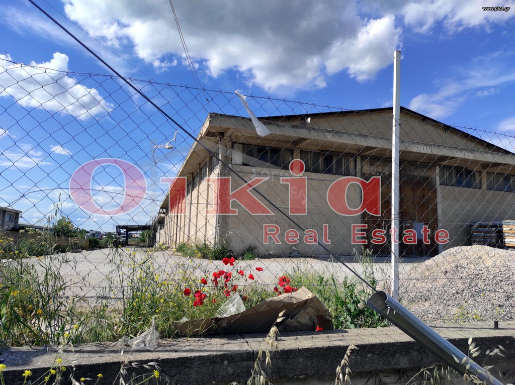 Αποθήκη 6.000 τ.μ. πρός πώληση, Θεσσαλονίκη - Περιφ/Κοί Δήμοι, Εχέδωρος