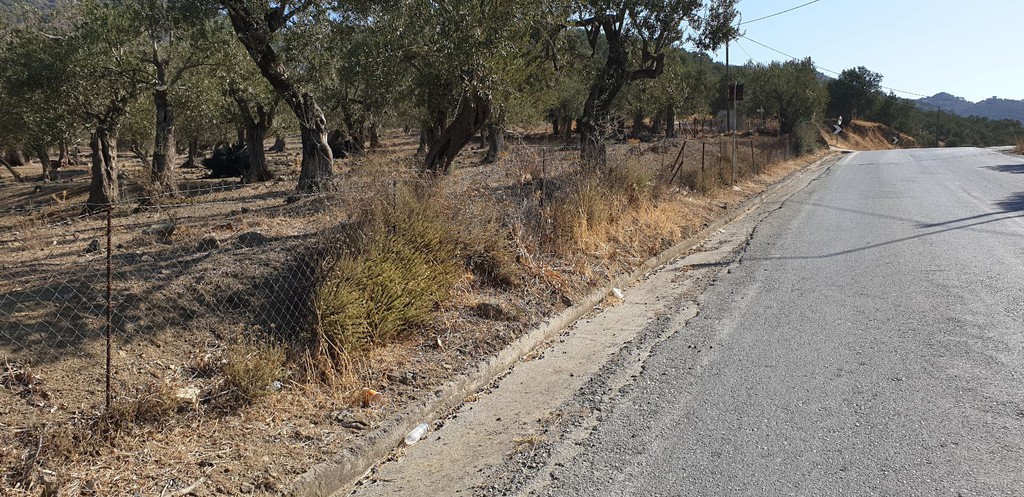 Οικόπεδο 23.700 τ.μ. πρός πώληση, Ν. Λέσβου, Λέσβος - Πέτρα