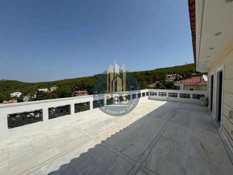 Detached home 400 sqm for rent